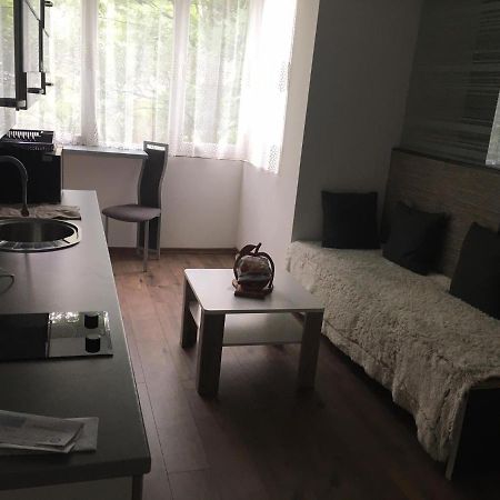 סראייבו Apartment In The Center Of The Old City, Budzak 14 מראה חיצוני תמונה