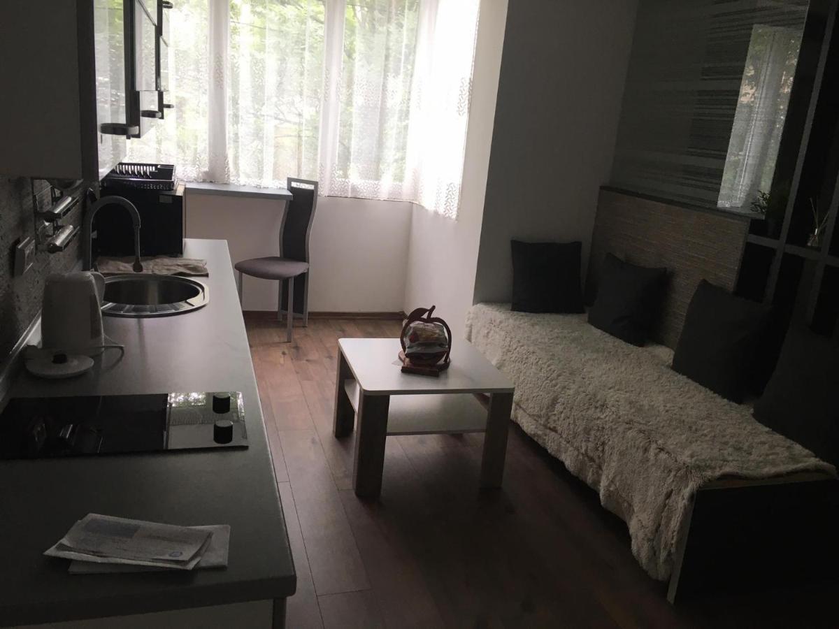 סראייבו Apartment In The Center Of The Old City, Budzak 14 מראה חיצוני תמונה